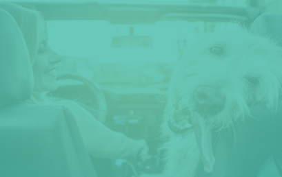 10 Things You Need to Know About Car Insurance