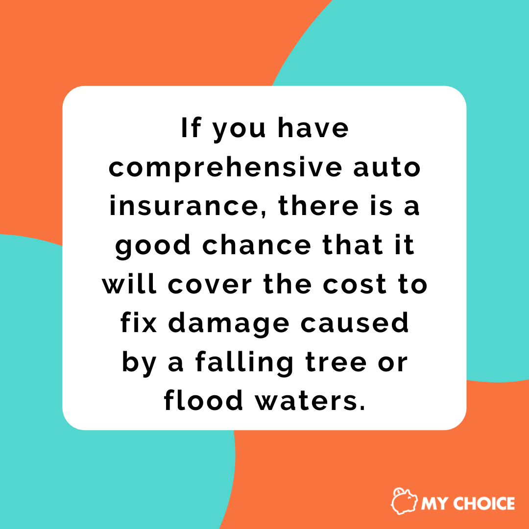 Does Home or Auto Insurance Cover Storm Damage My Choice