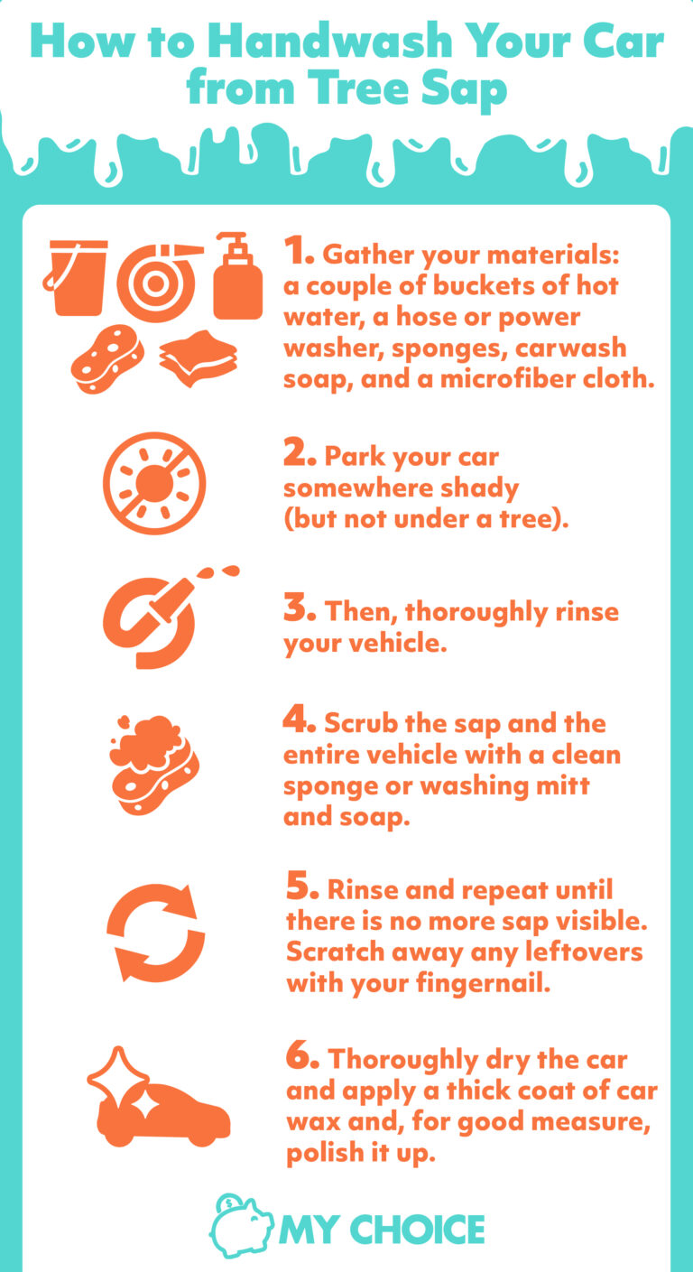 How Do I Remove Tree Sap From My Car MyChoice