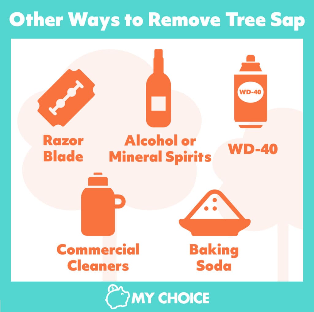 How Do I Remove Tree Sap From My Car