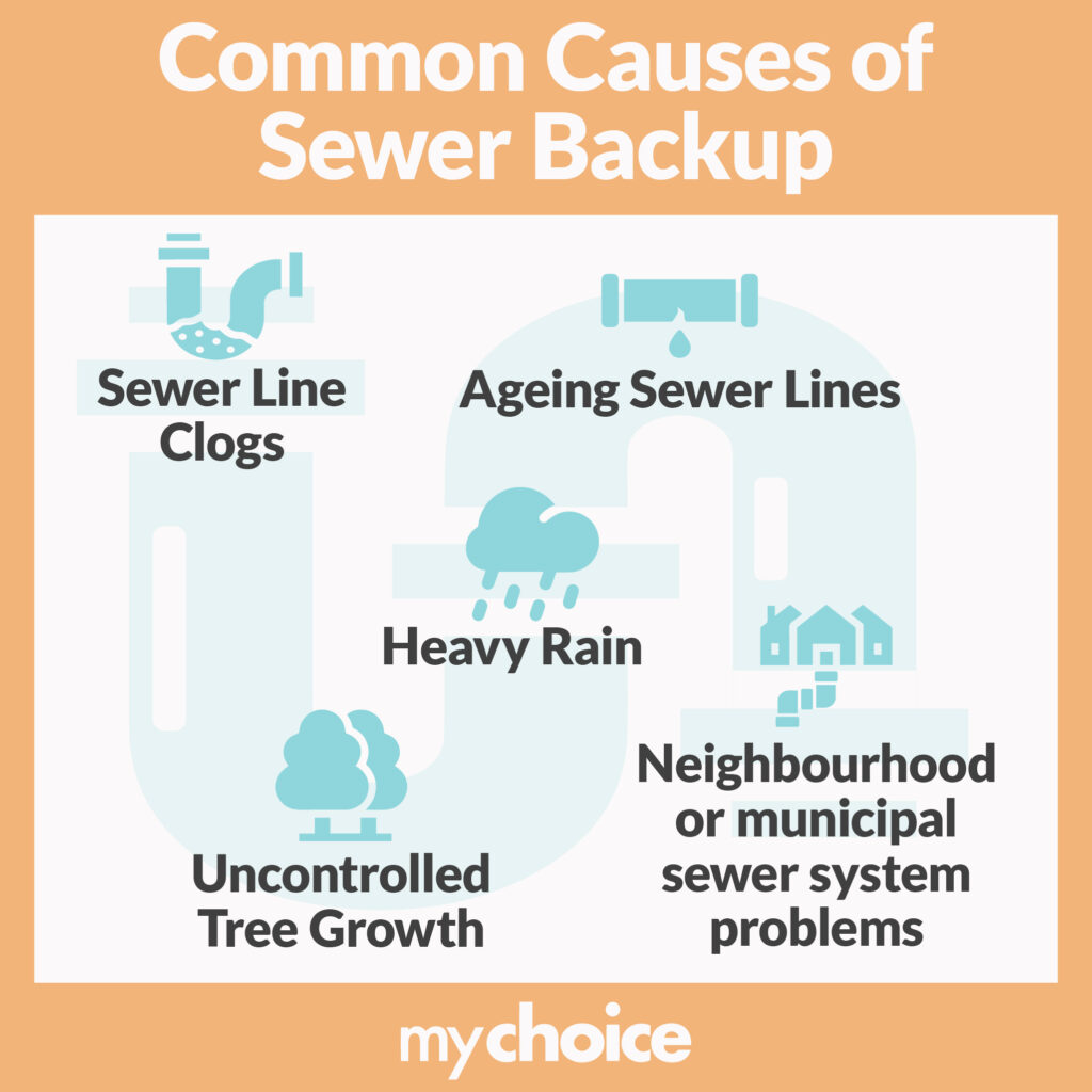 What is Sewer Backup Insurance?