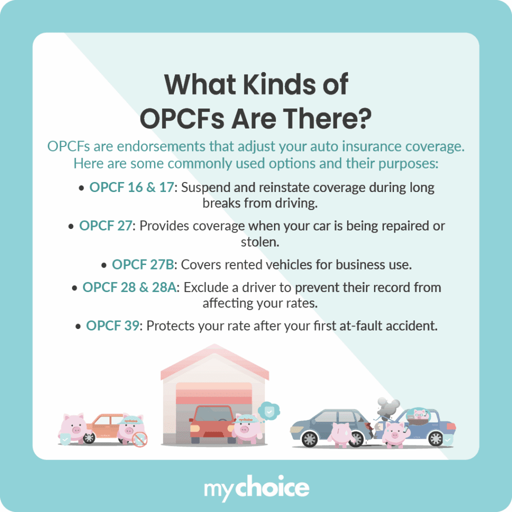 What Kinds of OPCFs Are There