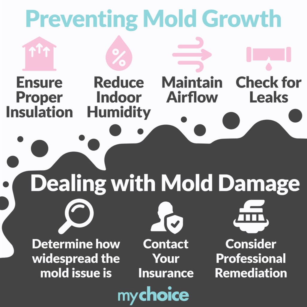 Preventing mold growth and dealing with mold damage