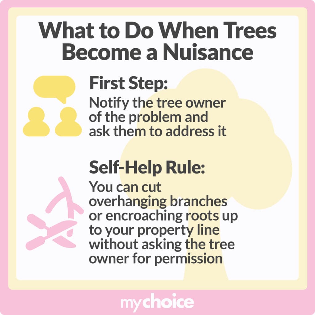 What to do when trees become a nuisance