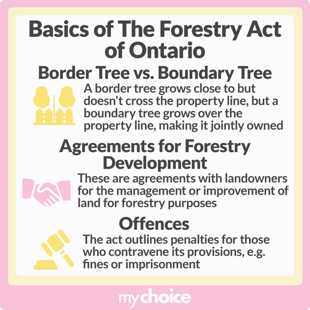 Basics of the Forestry Act of Ontario