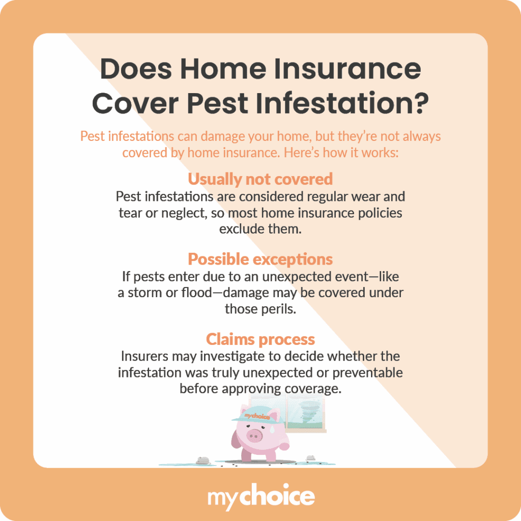 Does Home Insurance Cover Pest Infestation